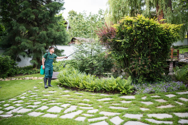 Wasp Removal Services in Woburn, MA